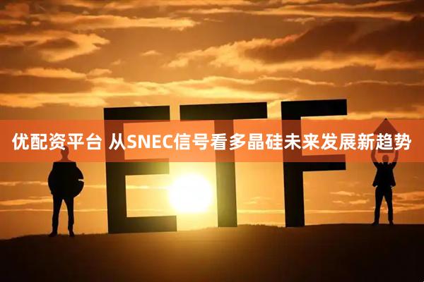 优配资平台 从SNEC信号看多晶硅未来发展新趋势